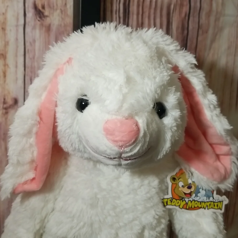 Teddy Mountain Rabbit - Picture 2 of 4